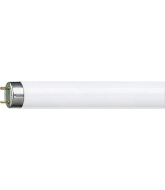 Tube fluorescent standard Osram 60 cm pour le spectacle à l'arc